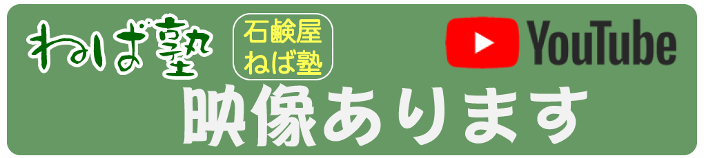動画リンク
